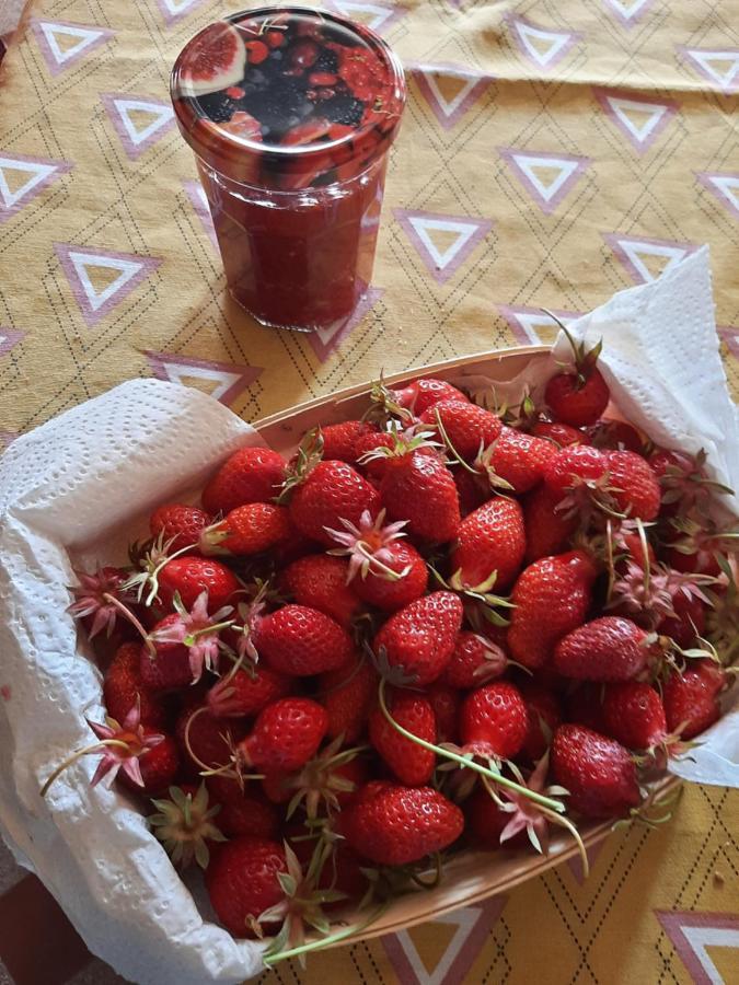 Notre Village Papillon Bed&Breakfast Neret Buitenkant foto
