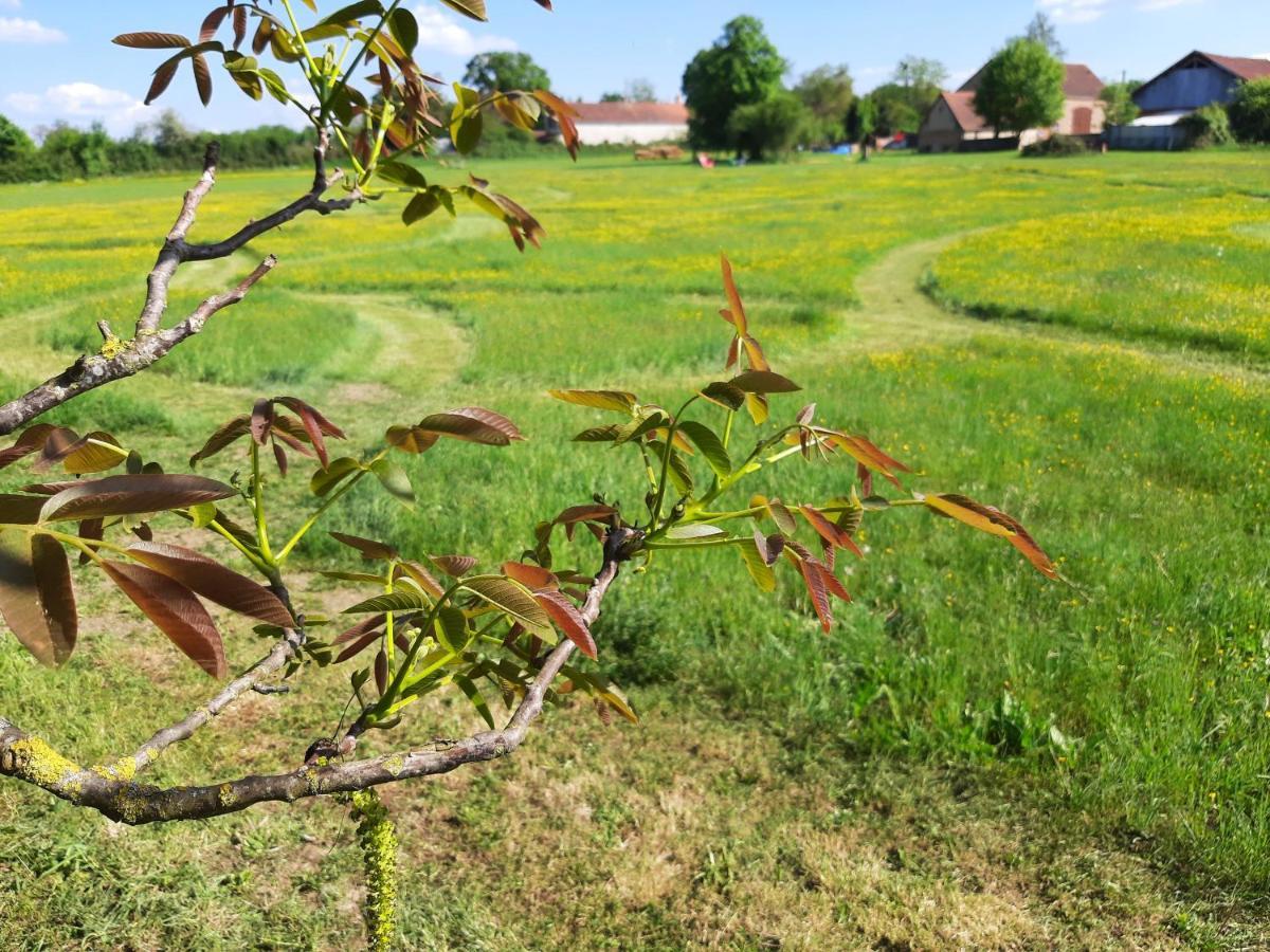 Notre Village Papillon Bed&Breakfast Neret Buitenkant foto