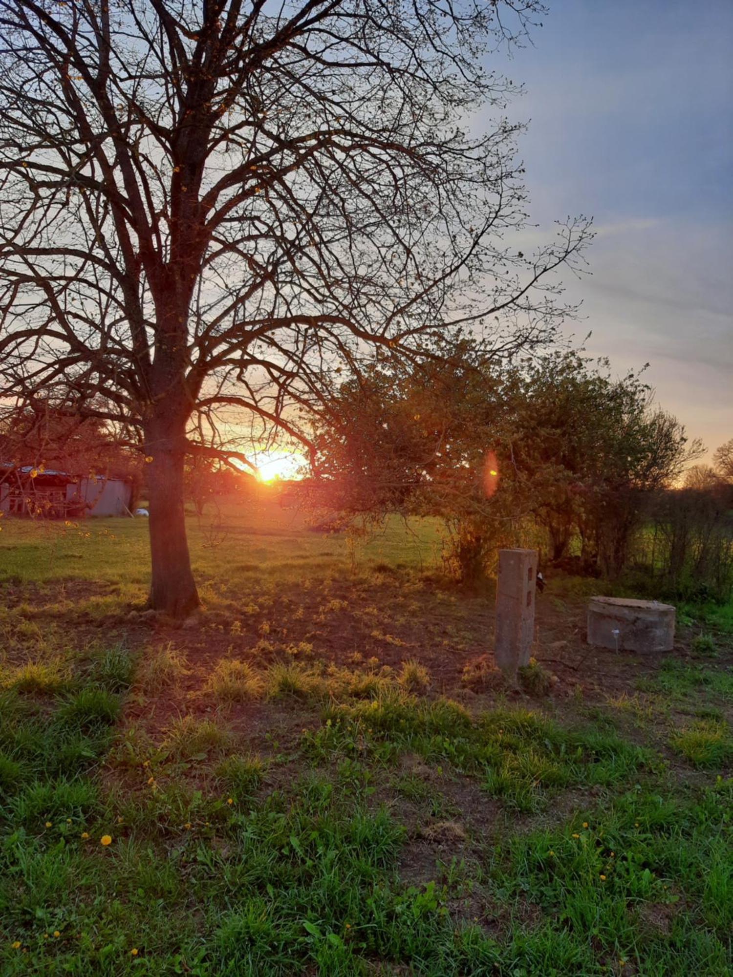 Notre Village Papillon Bed&Breakfast Neret Kamer foto